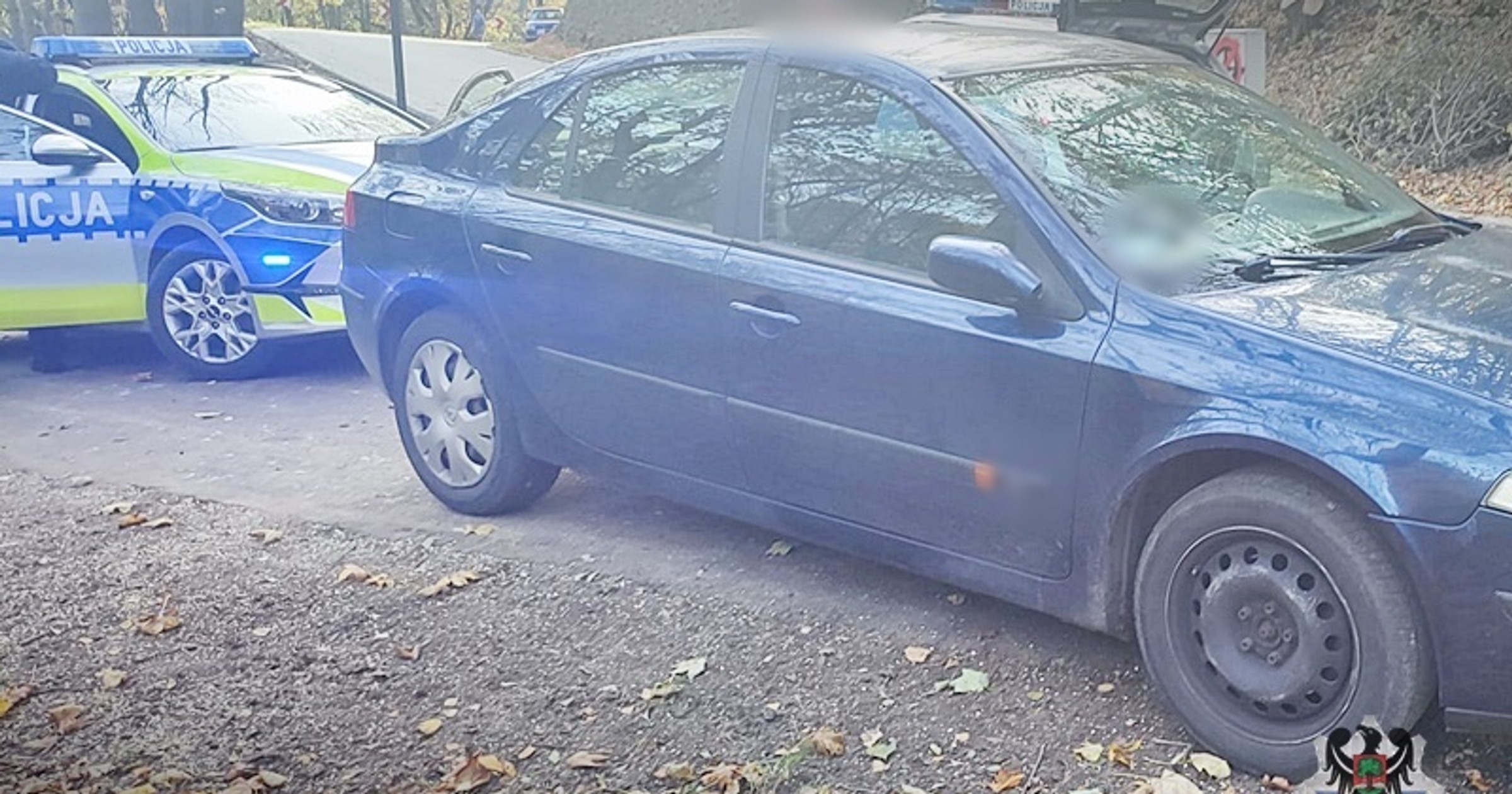 Źródło: walbrzych.policja.gov.pl/policja.pl