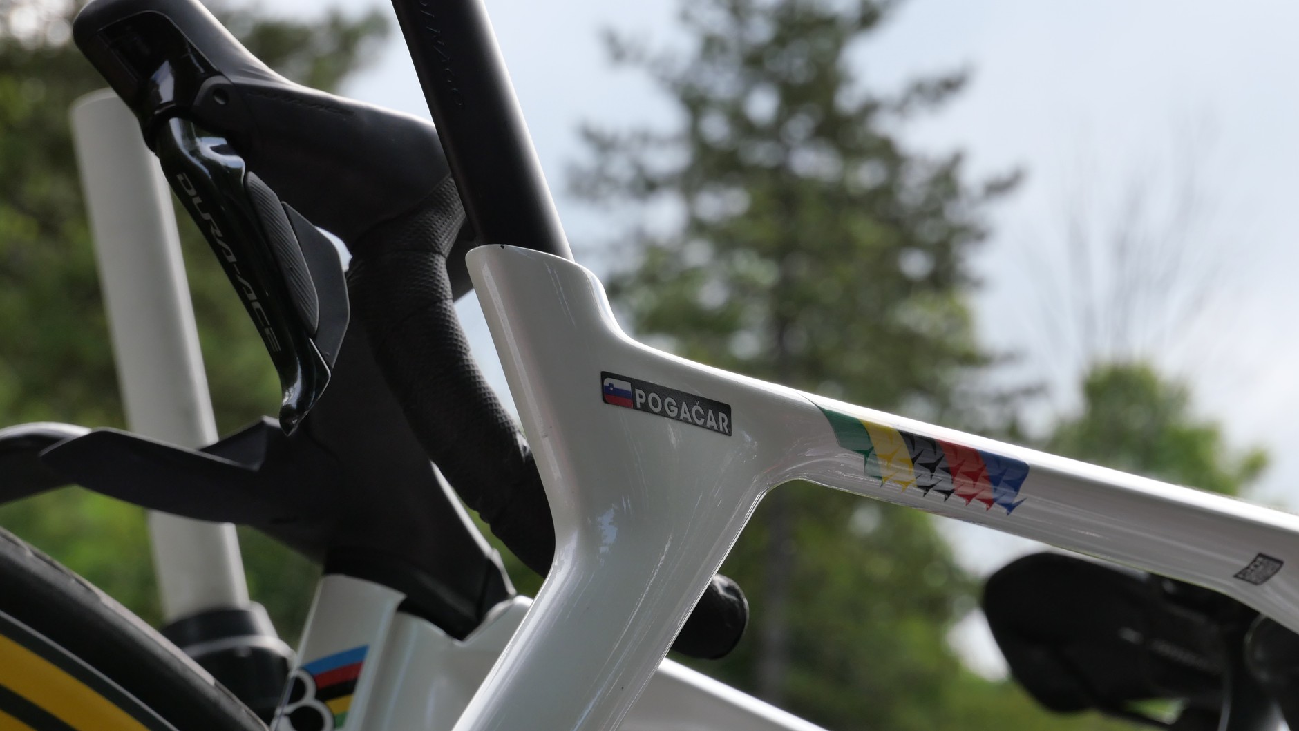 Rower Tadeja Pogacara – najmocniejszego zawodnika w tym sezonie