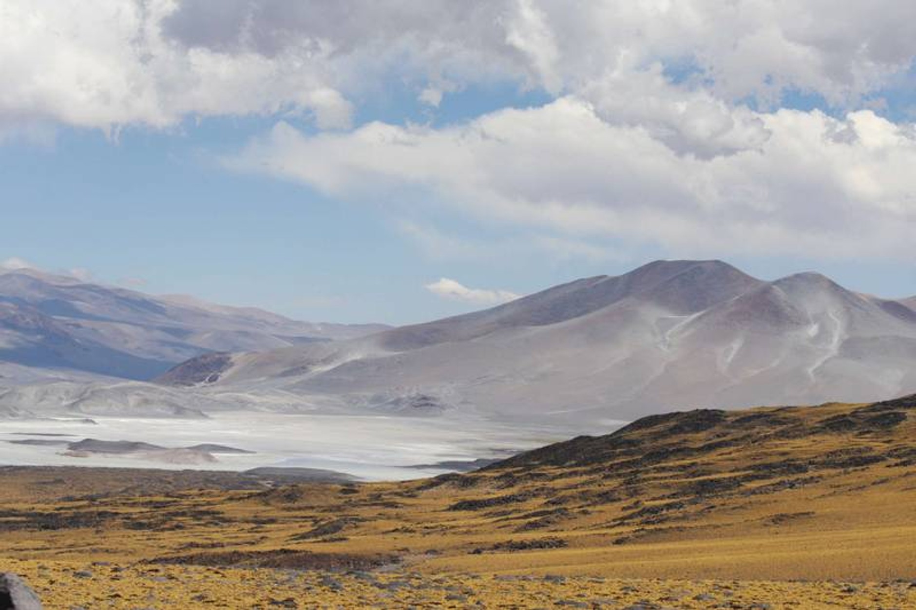 Rajd Dakar 2009: radość na mecie (fotogaleria 3.)