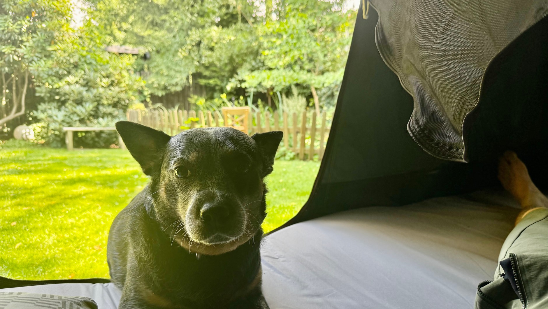 Namiot Thule Outset – test