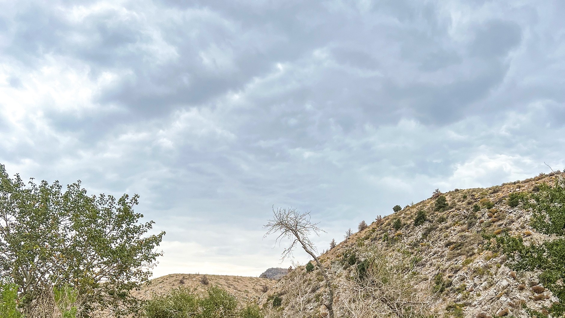 Ford F-150 Lightning to wielkie, ciężkie auto, a tyle w nim lekkości i spokoju. Taką jazdę pikapem można pokochać