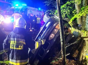 Zakończył nocną jazdę na drzewie. Kierowca BMW odebrał "prawko" kilka dni wcześniej