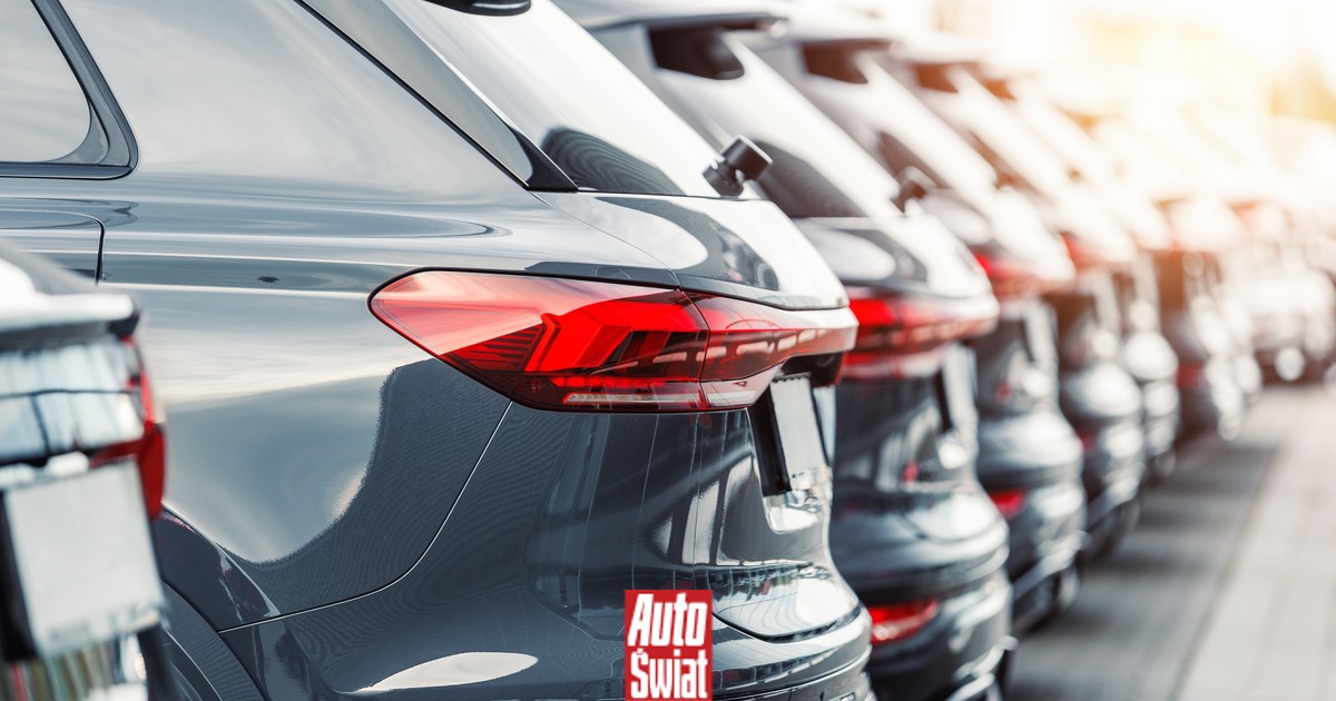 Zakaz aut spalinowych dla flot i wypożyczalni od 2030 r. Tego chce UE