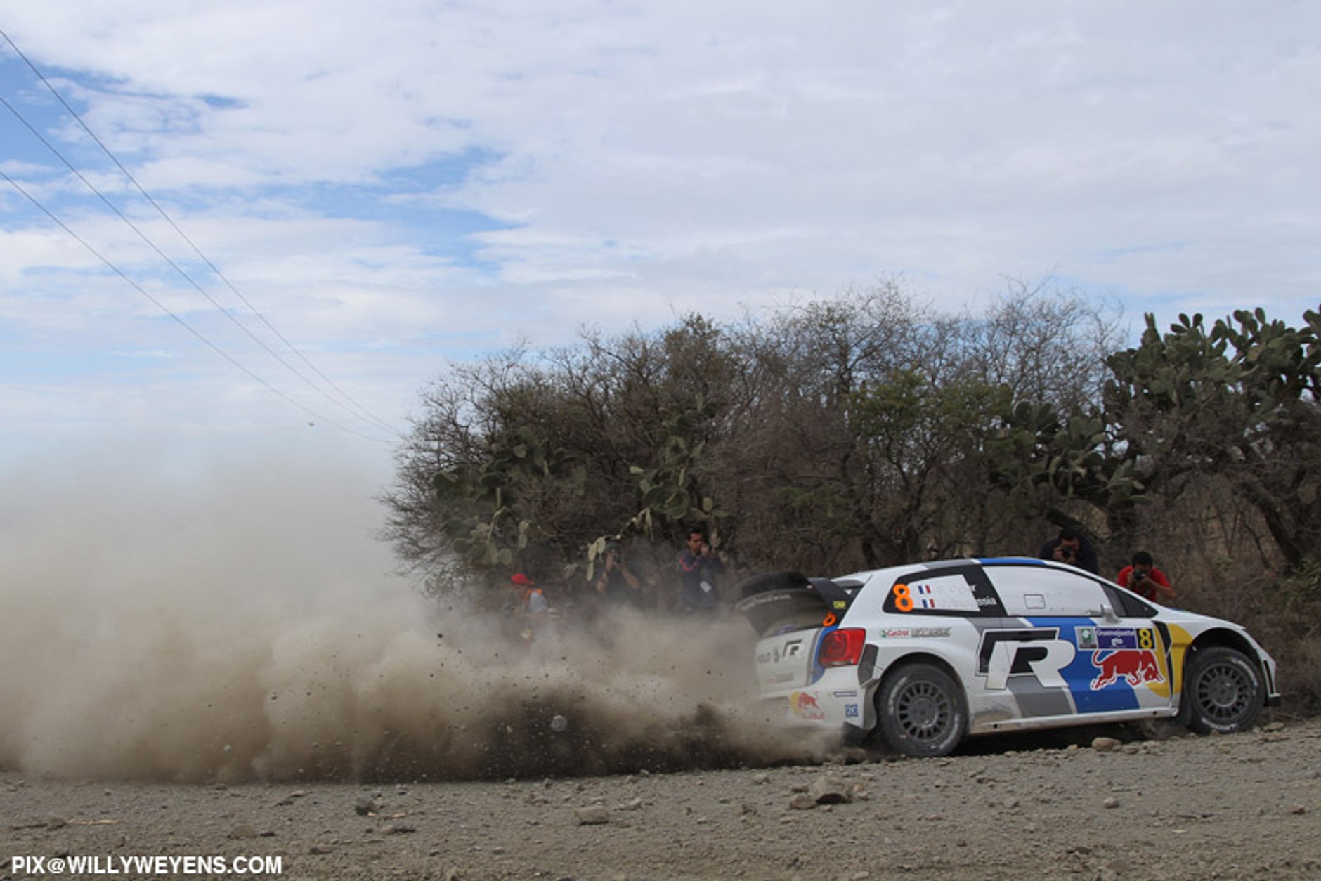 Rajd Meksyku 2013: złoty Ogier nie dał szans konkurentom