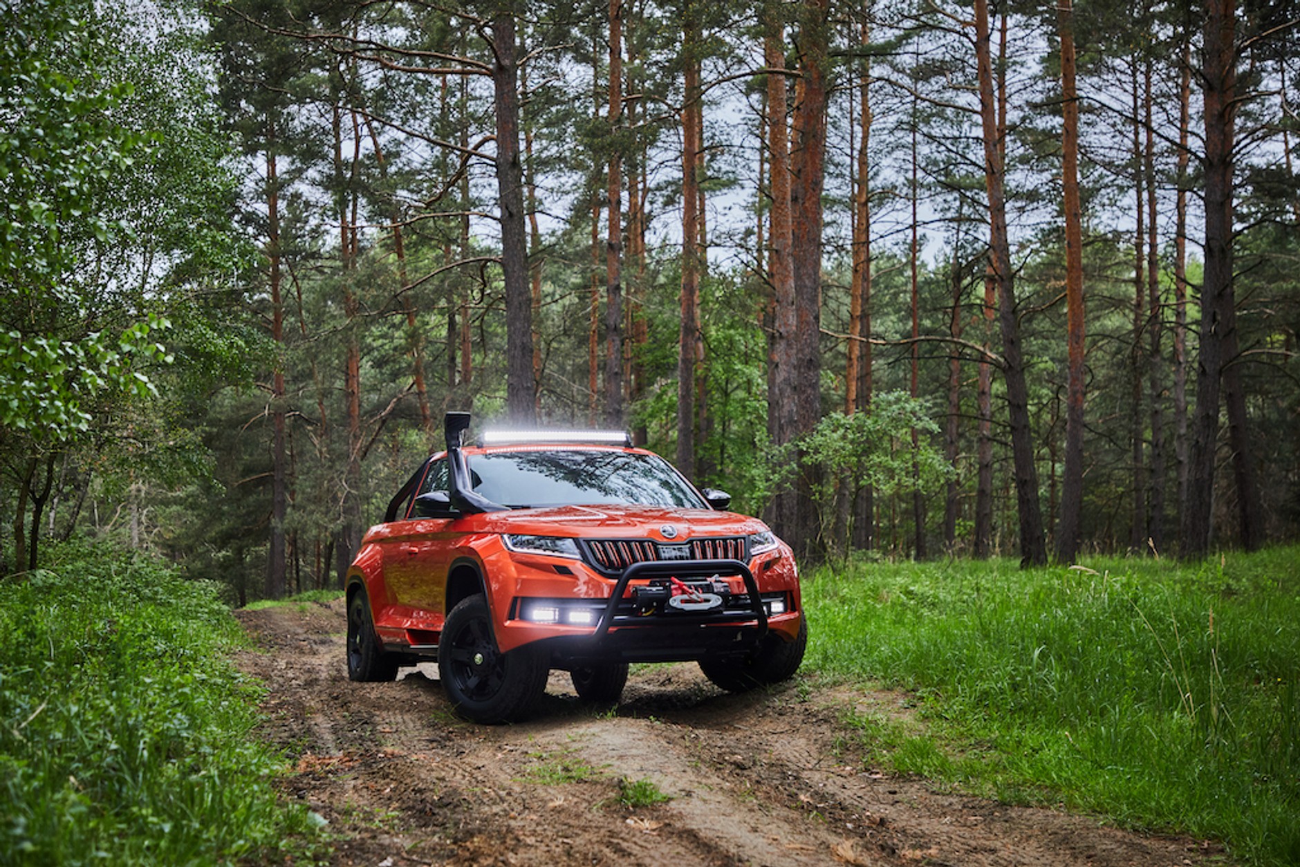 Skoda – nowe modele koncepcyjne