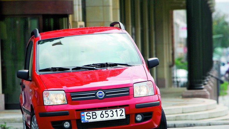 Maluch za „szóstkę”.