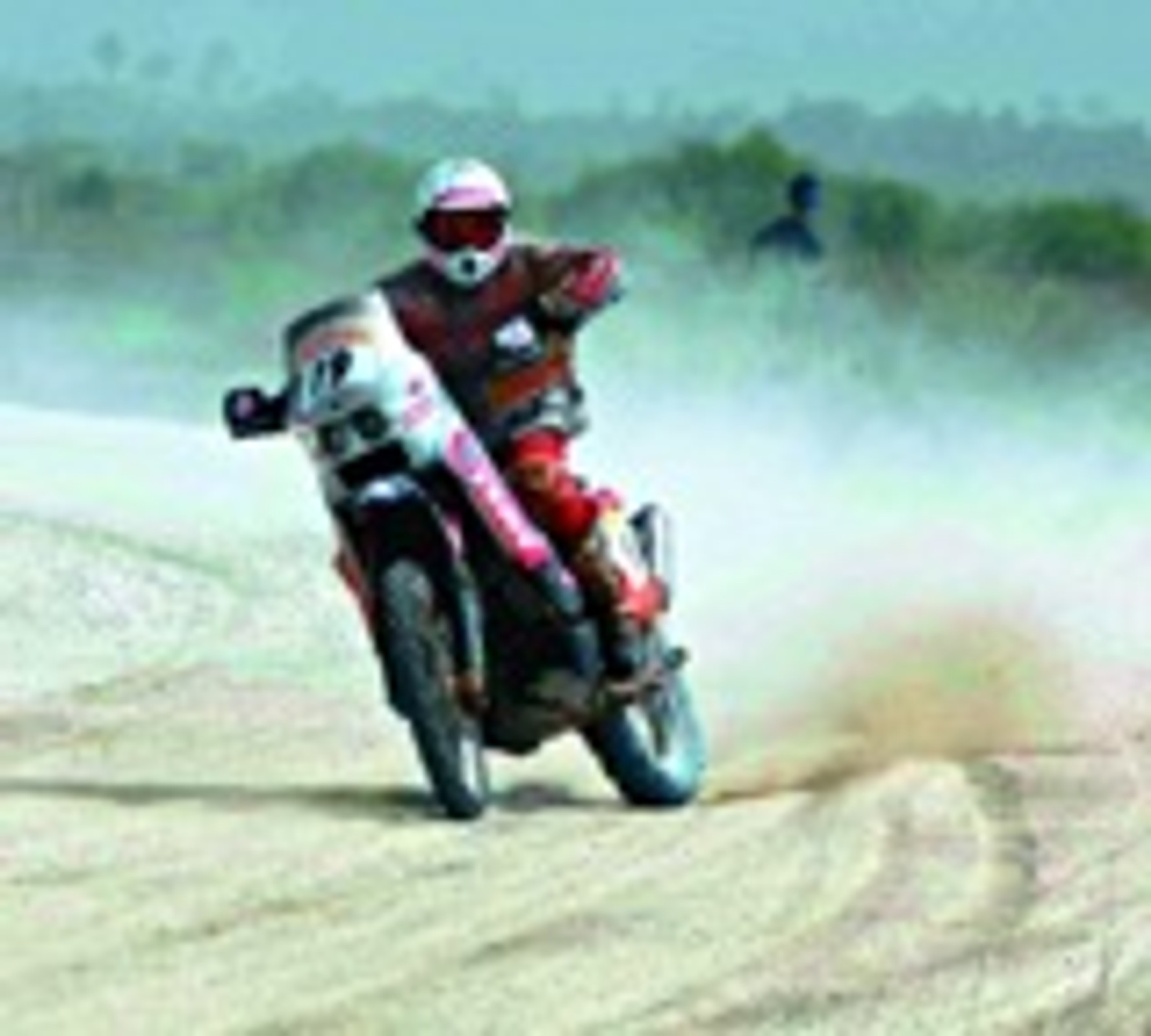 Zawodowcy i amatorzy