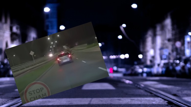 W Lublinie jeleń wpadł na samochód