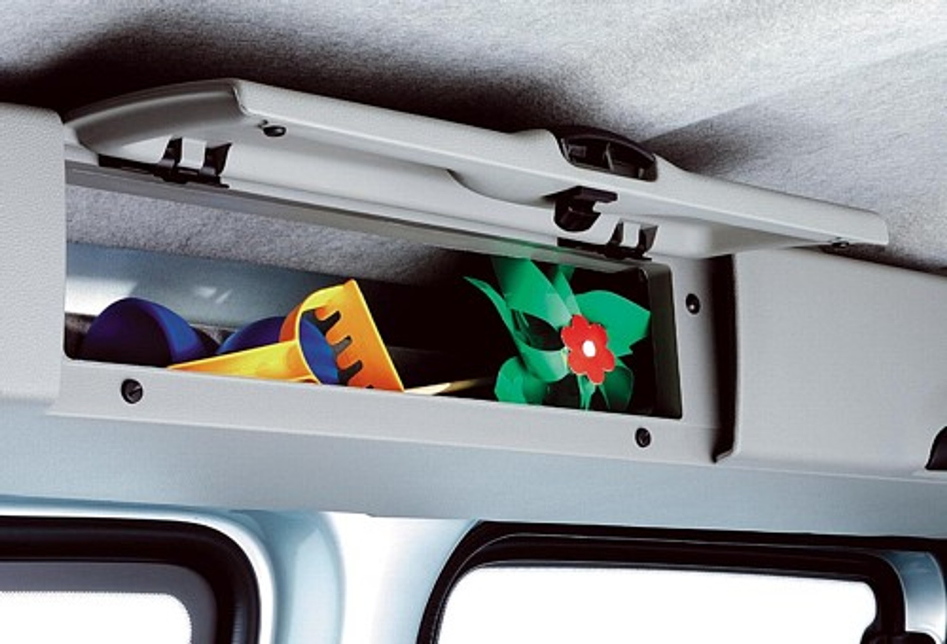 Wszechstronne zwierzę