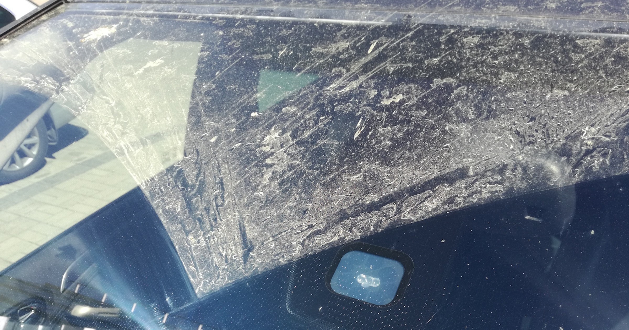 Bez względu na to jaki osad pokrywa nasze auto to lepiej nie zwlekać z usunięciem 
