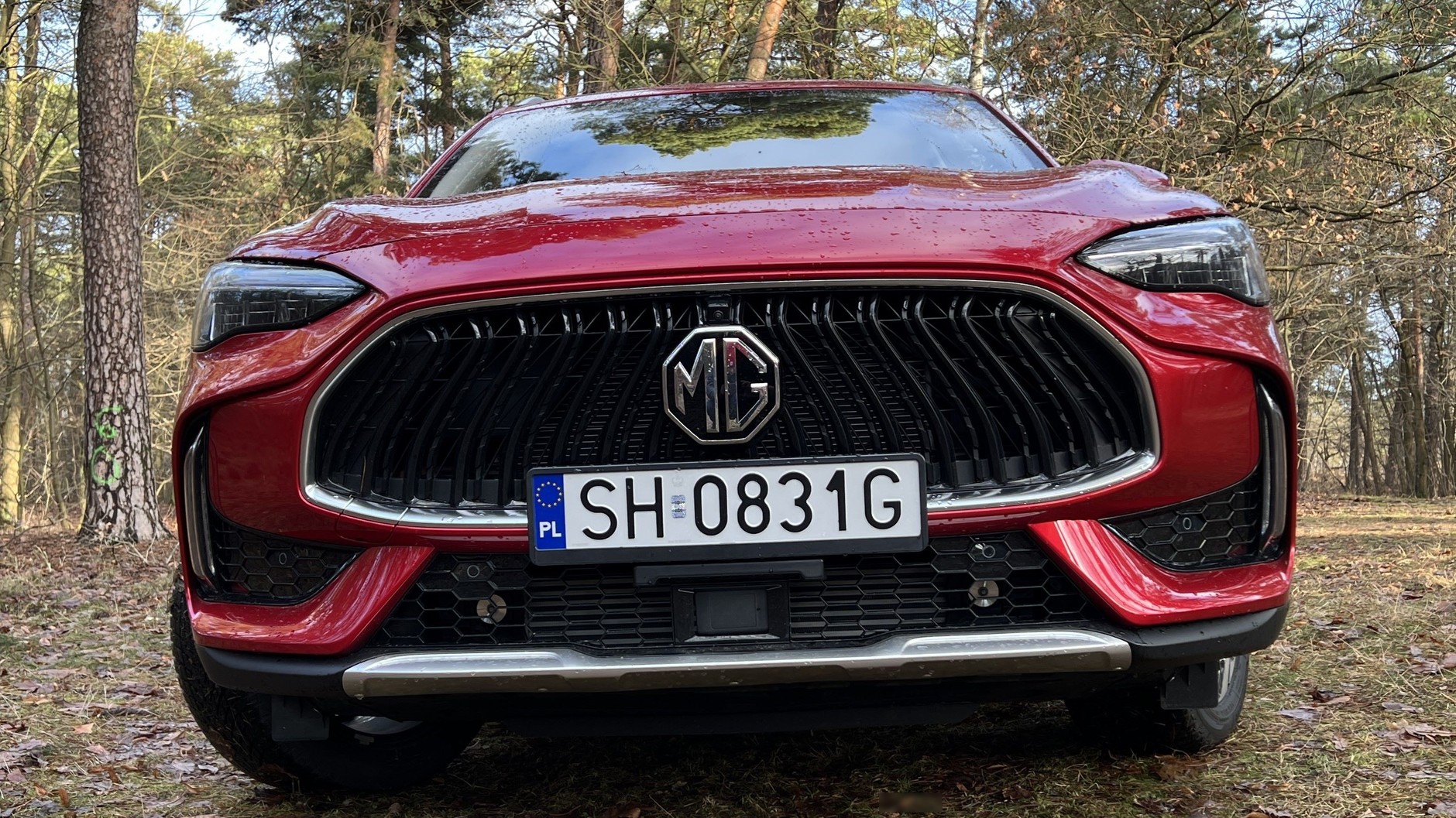 MG HS