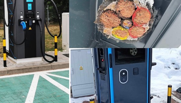 Plaga dotarła do Polski: niszczą stacje ładowania aut elektrycznych
