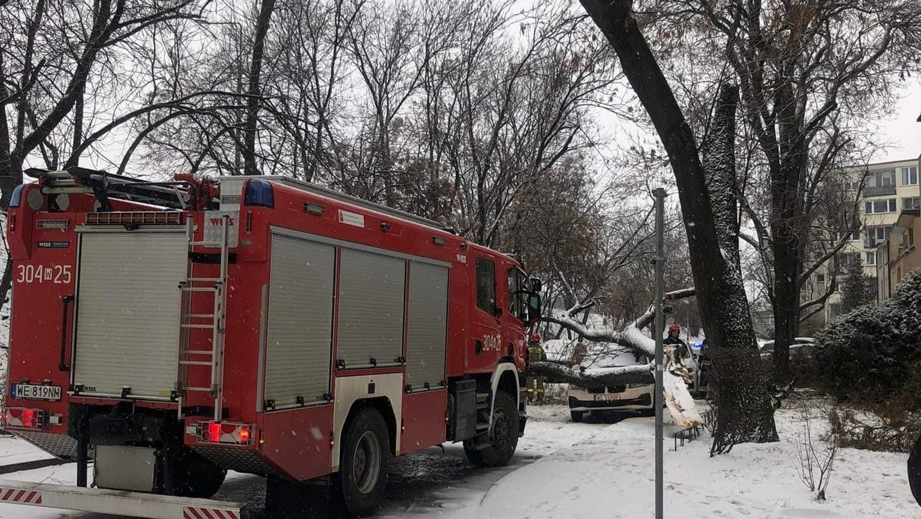 Burza śnieżna przewróciła też drzewa na Saskiej Kępie w Warszawie