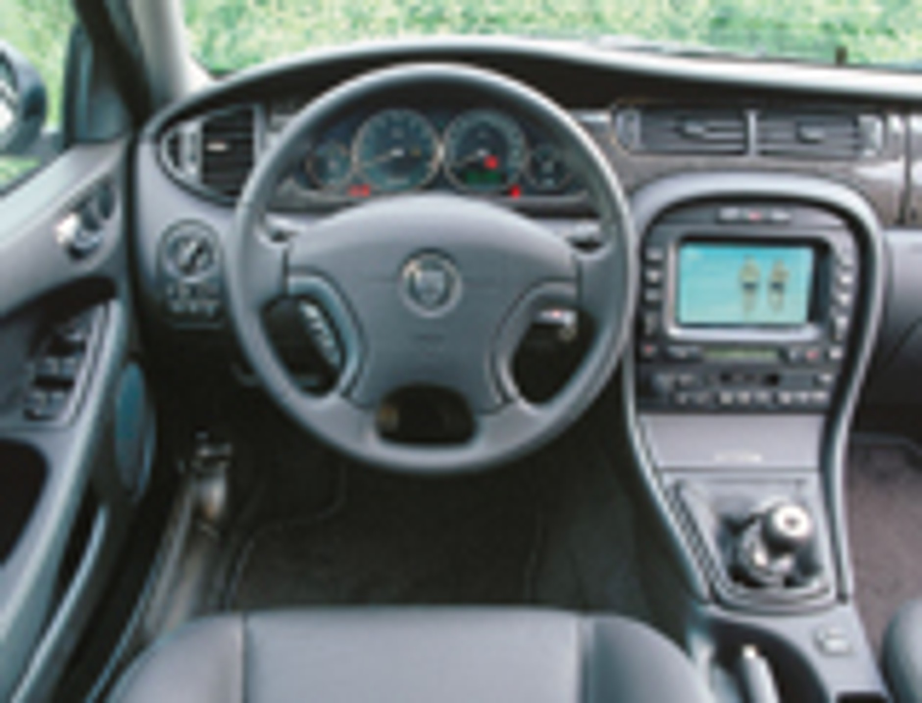 Błękitnokrwisty sportowiec