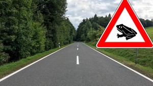 Znak z symbolem żaby przy niemieckich drogach. Czy wiesz, co oznacza?