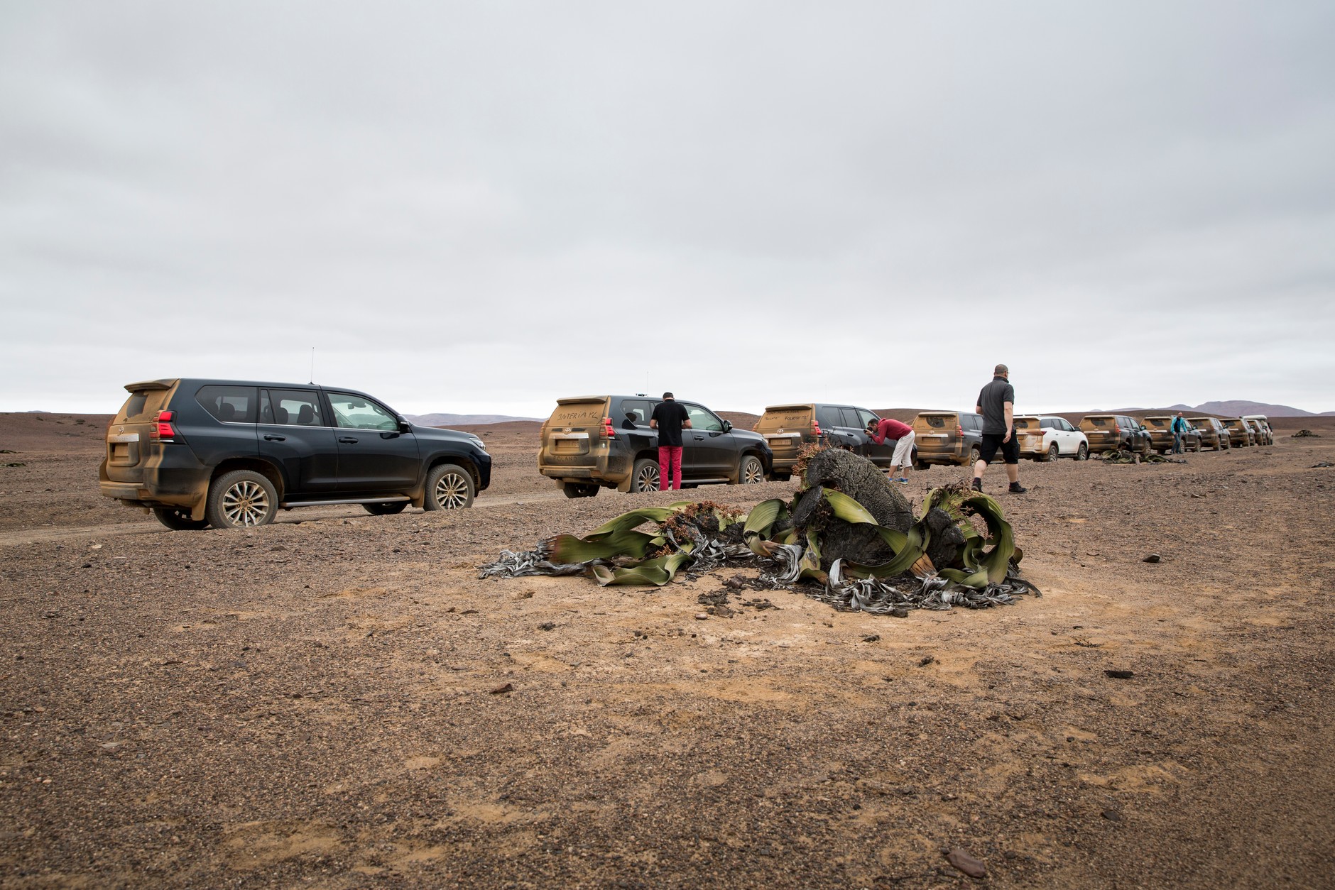 Toyota Land Cruiser po liftingu