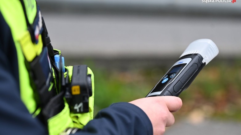 Źródło: slaska.policja.gov.pl