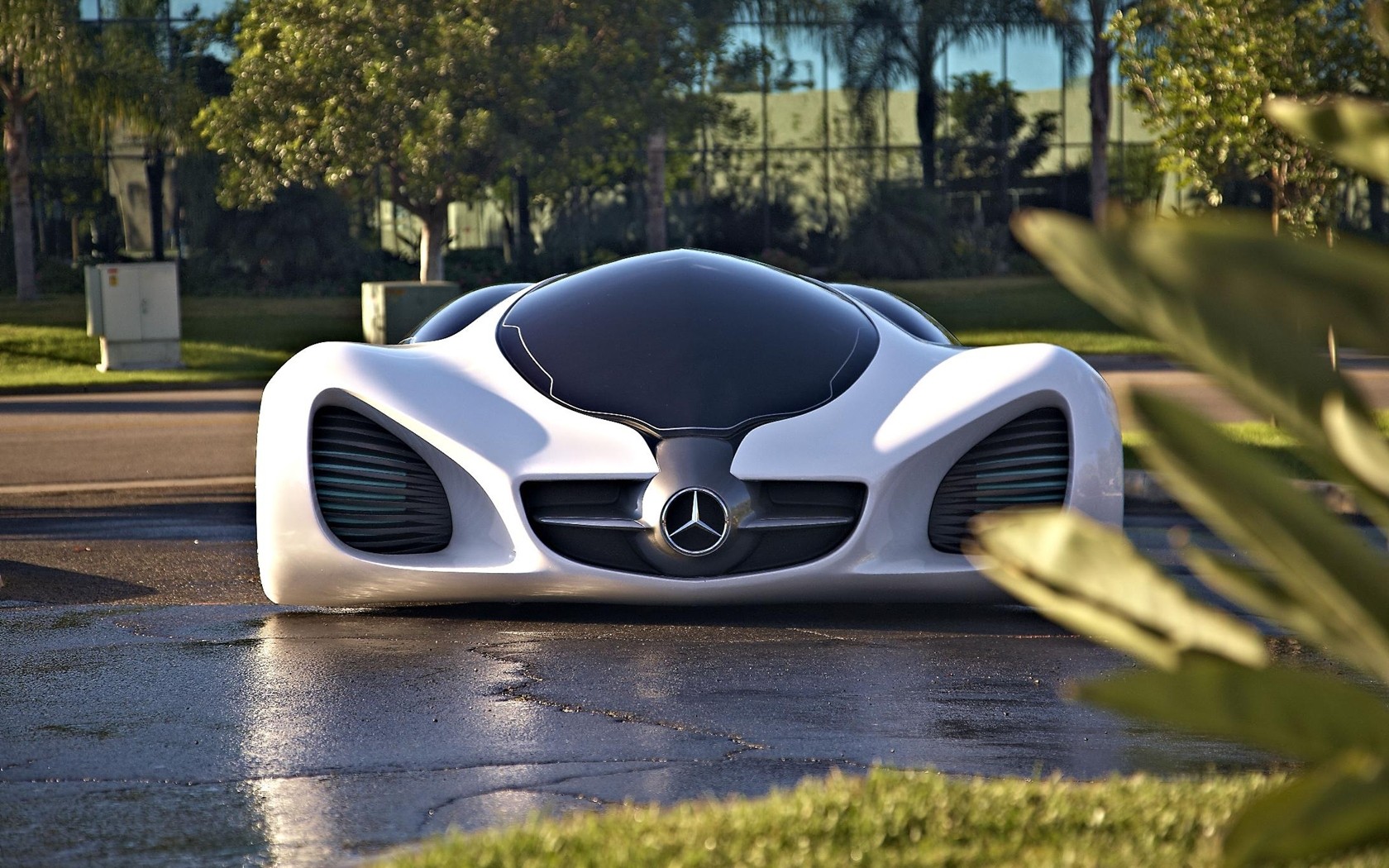Mercedes Biome