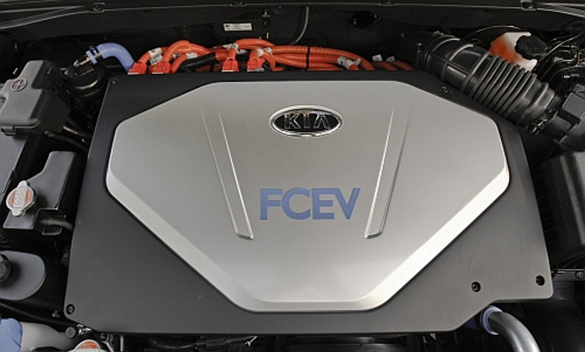 Kia Borrego - SUV dla ekologa