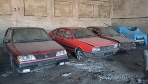 Odkryli w polskiej szopie zakurzone "perełki". Część z nich trafi do muzeum