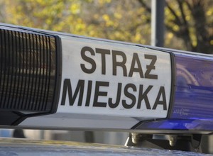 Nowy wyrok, nowe mandaty. Strażnicy miejscy odzyskali swoje uprawnienia