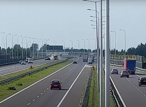 Stanął na środku ekspresówki i został staranowany [wideo]