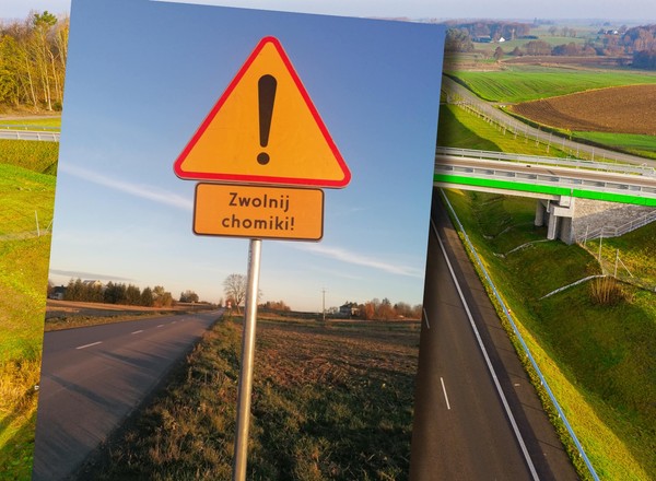 Taki znak w Polsce jest jeden, ale nie ma się z czego śmiać. Ostrzega przed chomikami