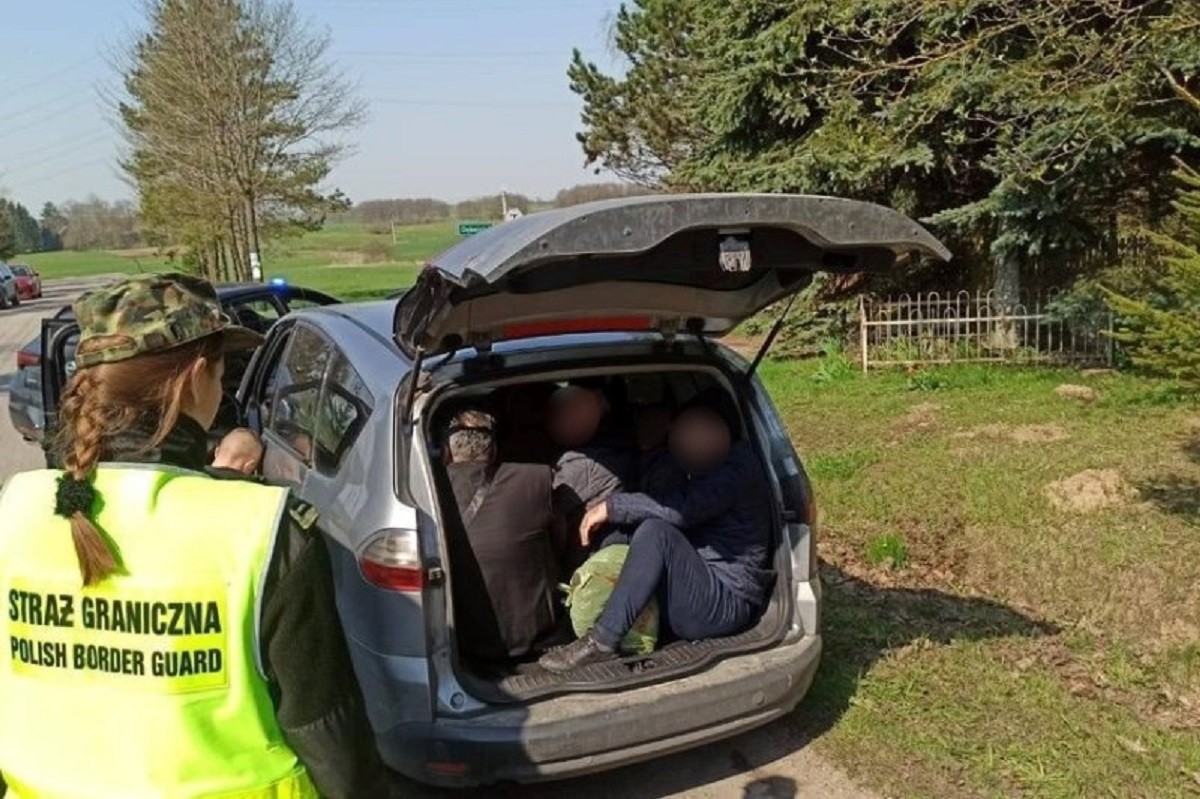 Strażnicy znaleźli w Fordzie ośmiu Syryjczyków