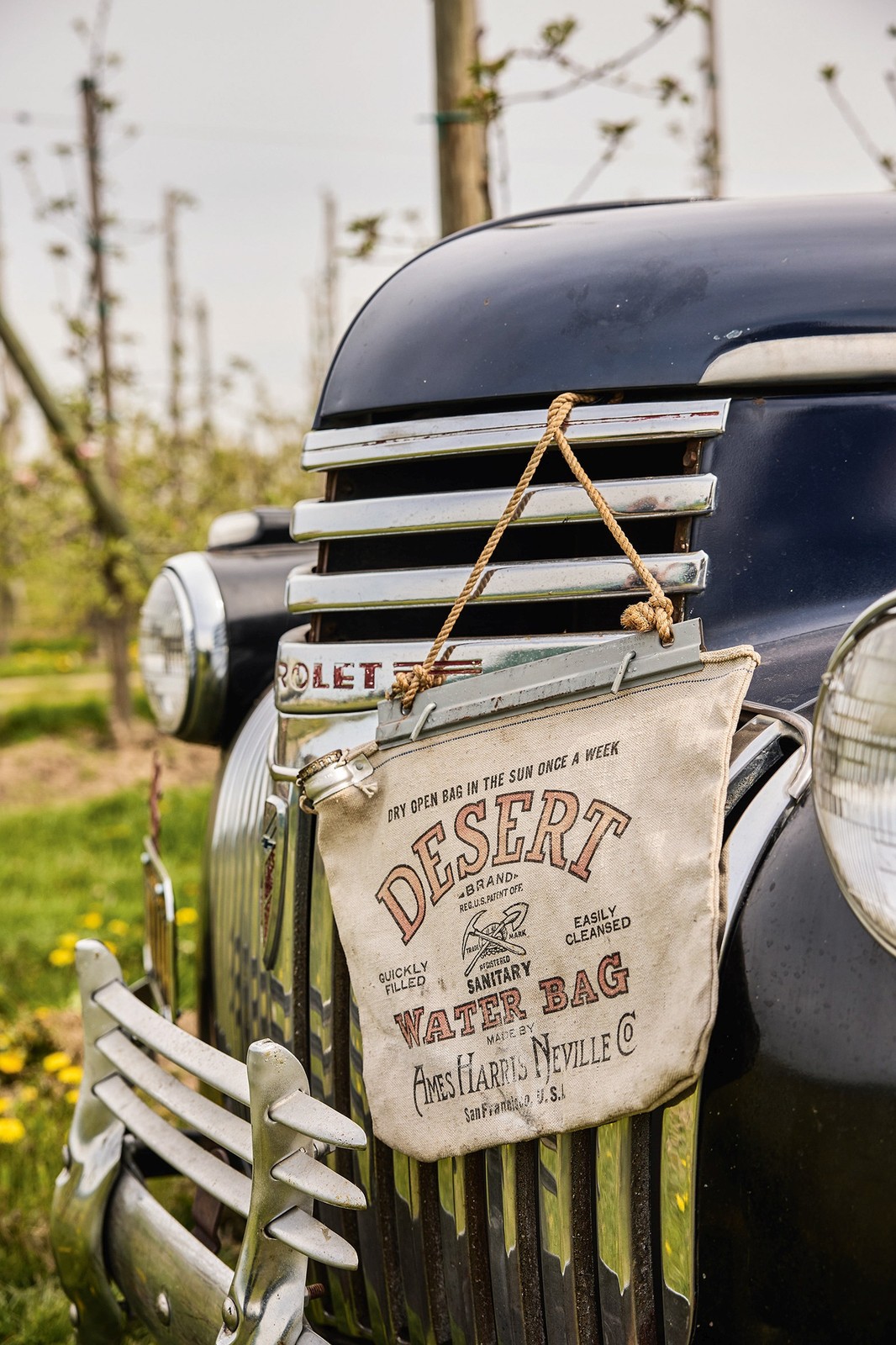 Chevrolet AK Series 3104