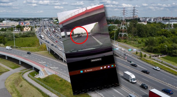 Śmiertelnie niebezpieczna pomyłka. 72-latkowi grozi surowa kara [WIDEO]
