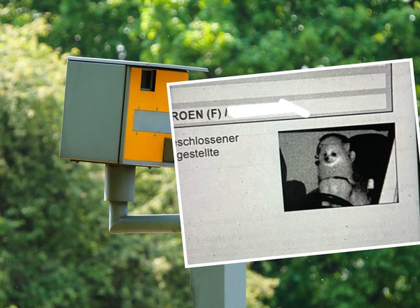 Takiego mandatu z fotoradaru się nie spodziewał. Nie mógł uwierzyć w to, co zobaczył