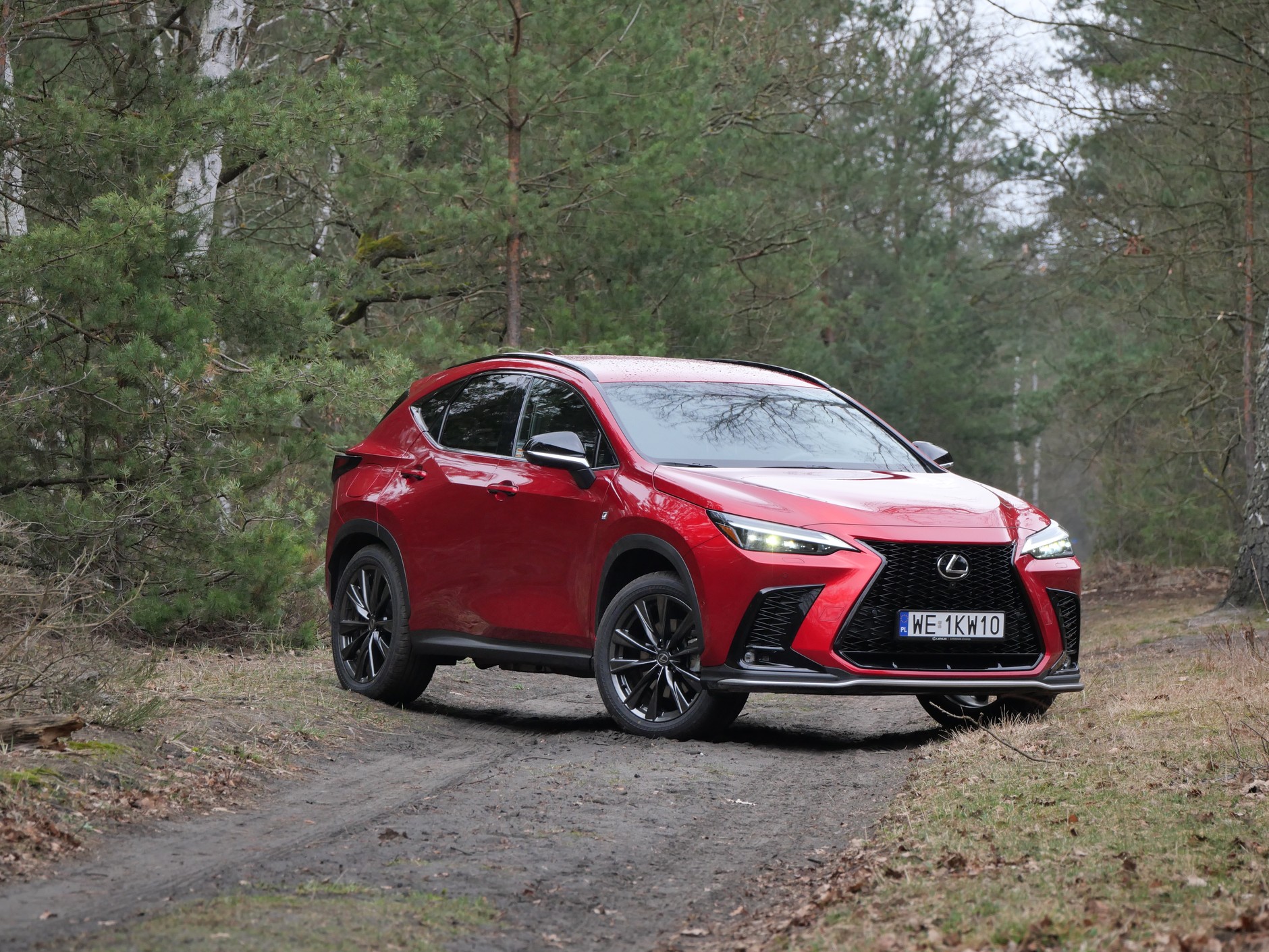 Lexus NX 450H+ F Sport