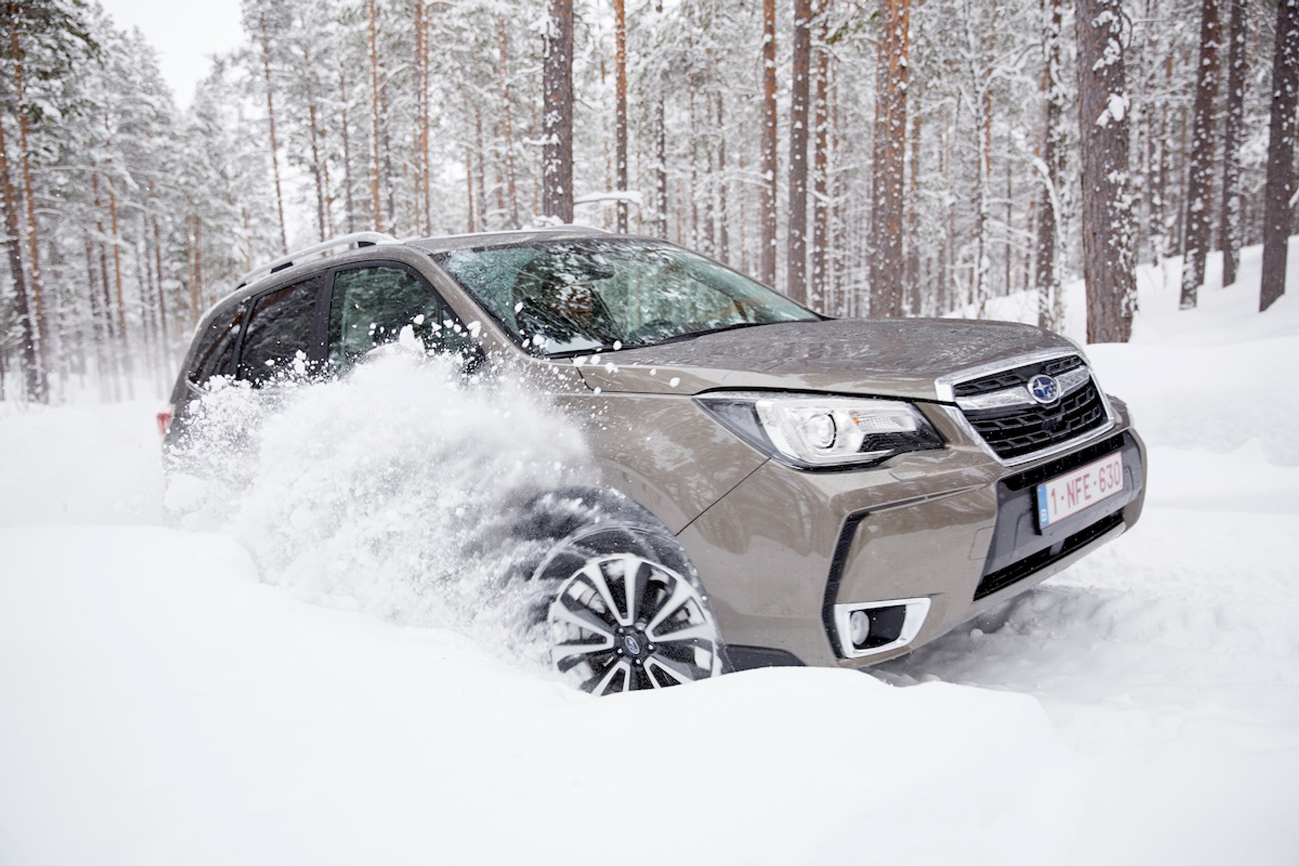 Subaru Snow Drive 2016