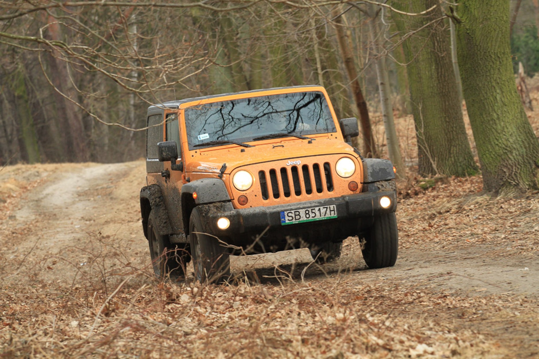 Jeep Wrangler 3.6 V6: pocisk w terenie