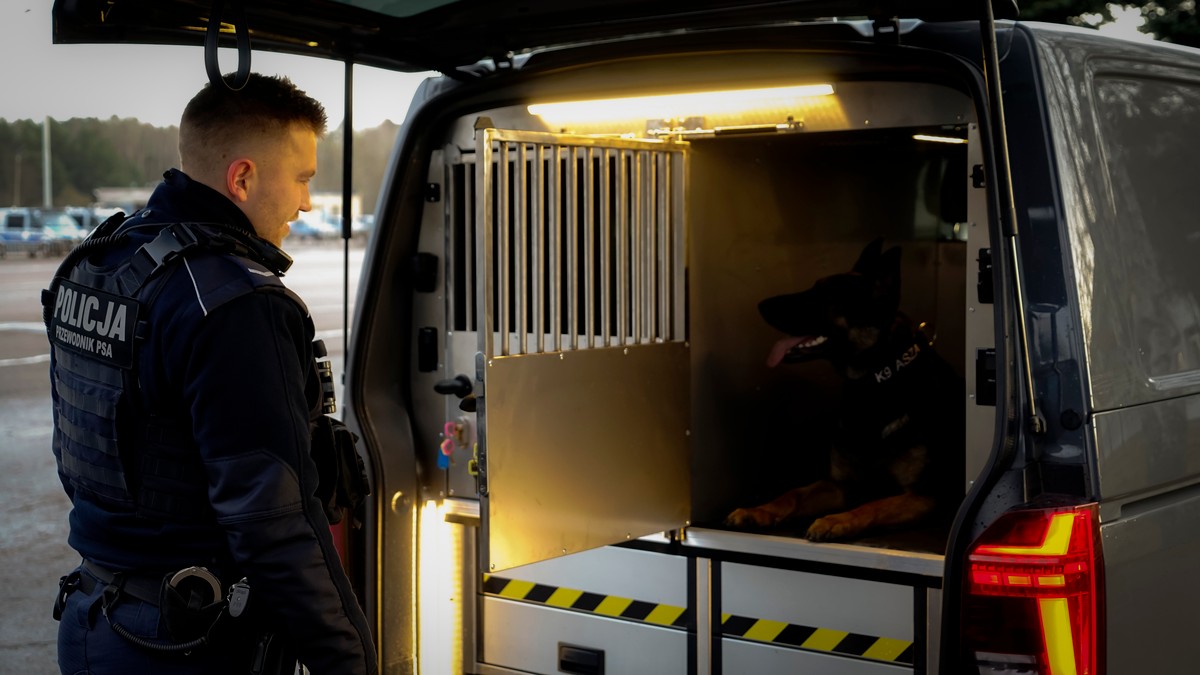 Specjalne radiowozy do przewozu psów policyjnych