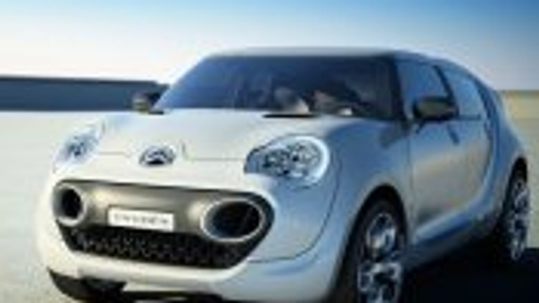 Ekologiczny Kaktus Citroena