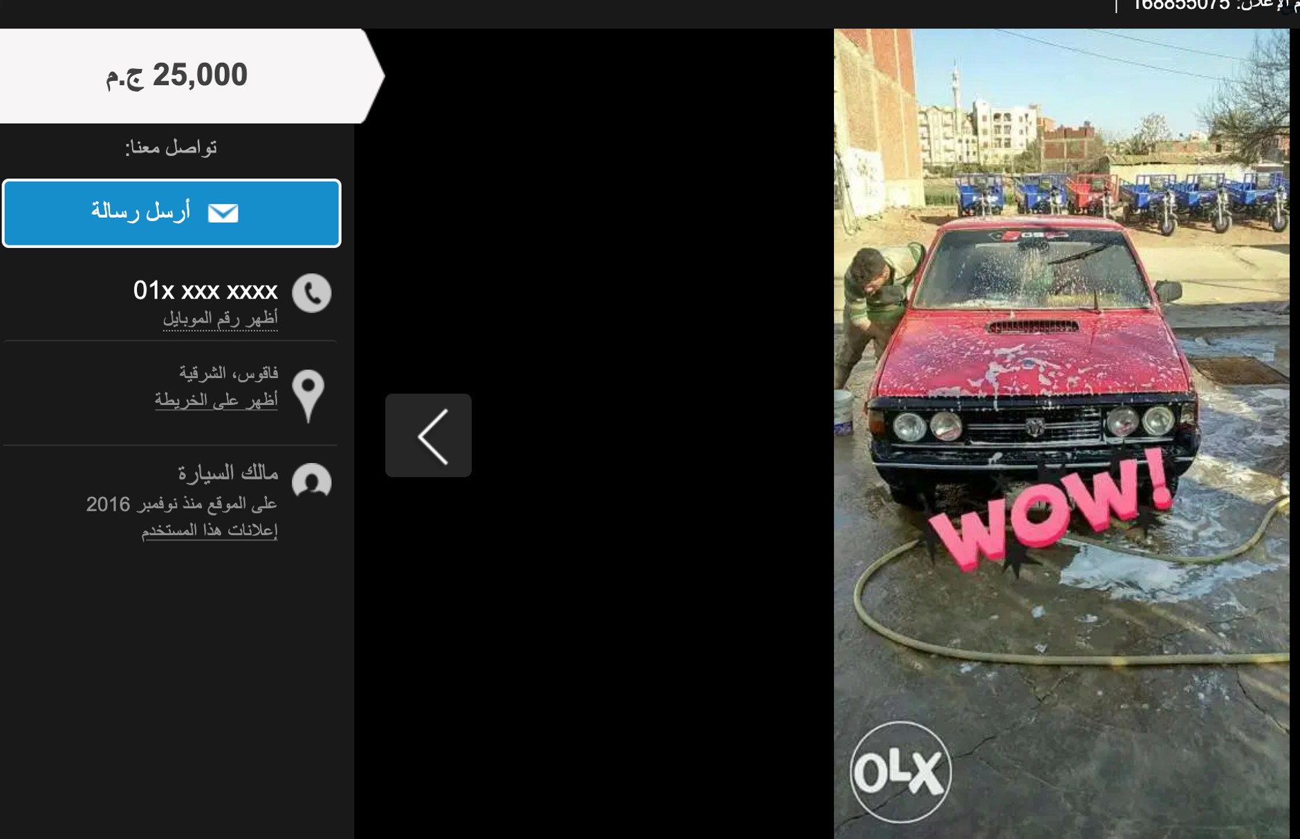 Polonezy z egipskich ogłoszeń