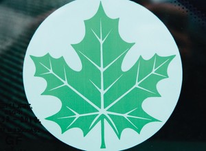 Zielony listek 2.0 - co może czekać początkujących kierowców?