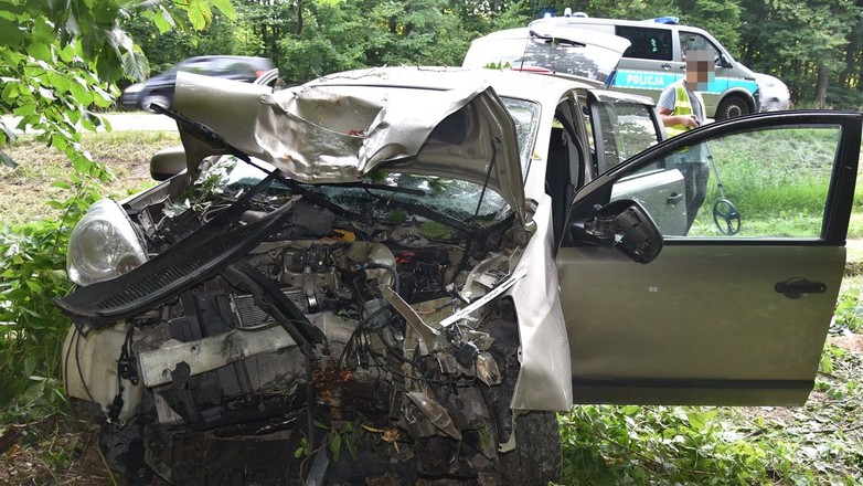 Obraz pochodzący z serwisu https://krasnystaw.policja.gov.pl/lks/informacje/aktualnosci/147054,Wypadek-w-Lopienniku-Podlesnym-na-DK-17.html