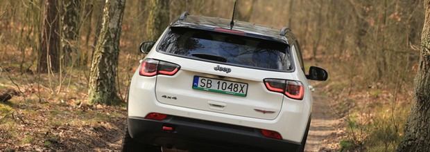 Samochodem na grzyby. Można dostać nawet 5 tys. zł grzywny. Na co uważać?