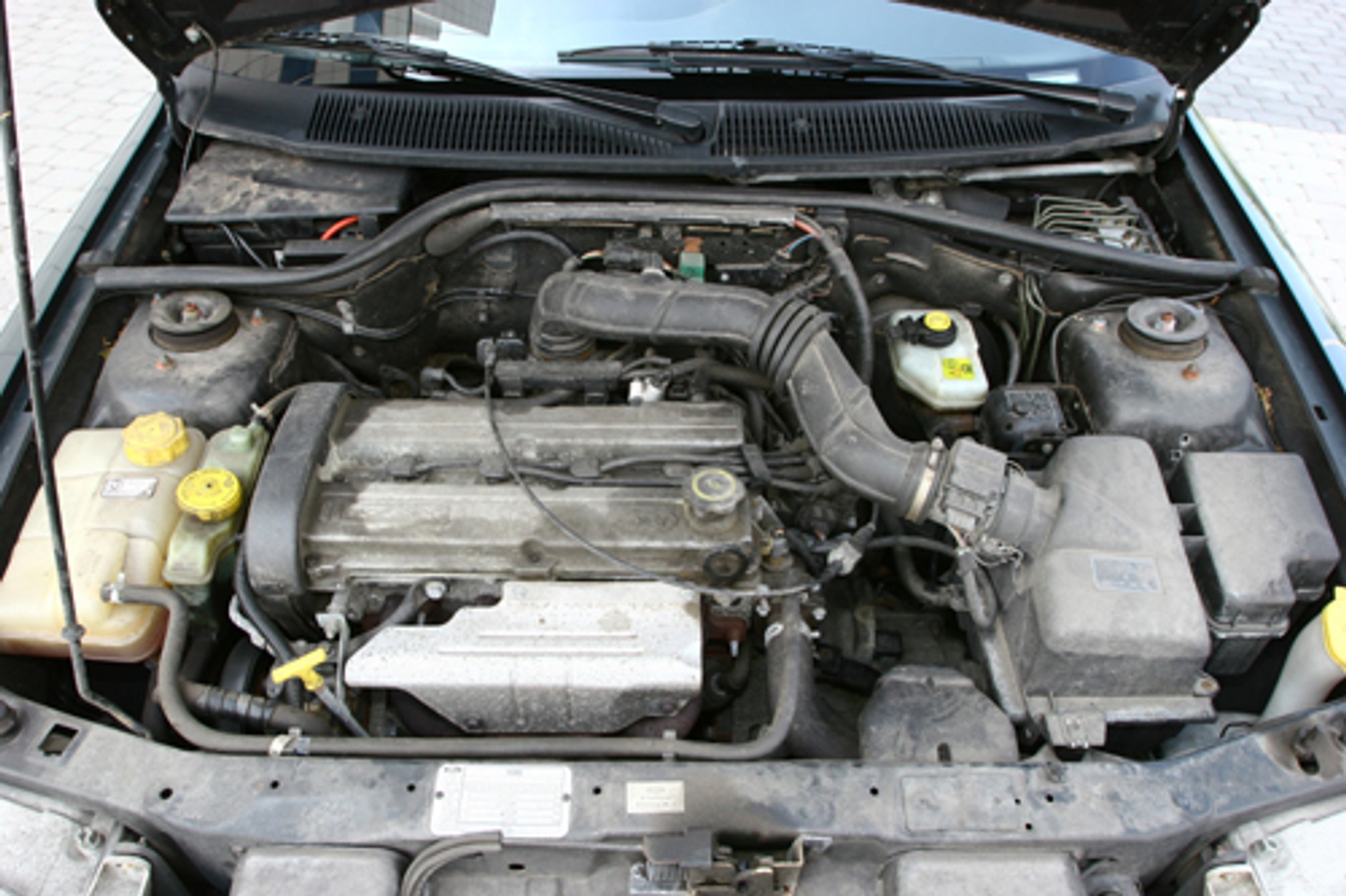 Przyćmiony przez Focusa