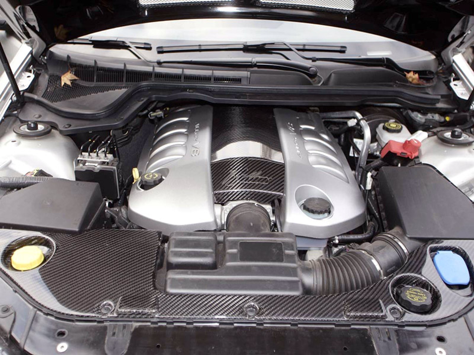 Bitter Vero: Holden z niemieckim rodowodem