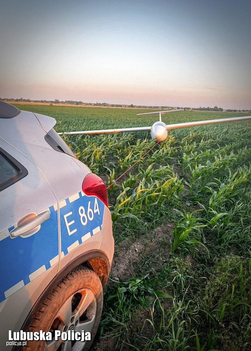 Policja holowała szybowiec z pola kukurydzy
