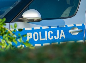 Wypadek samochodowy posła PIS. Miał kolizję z łosiem