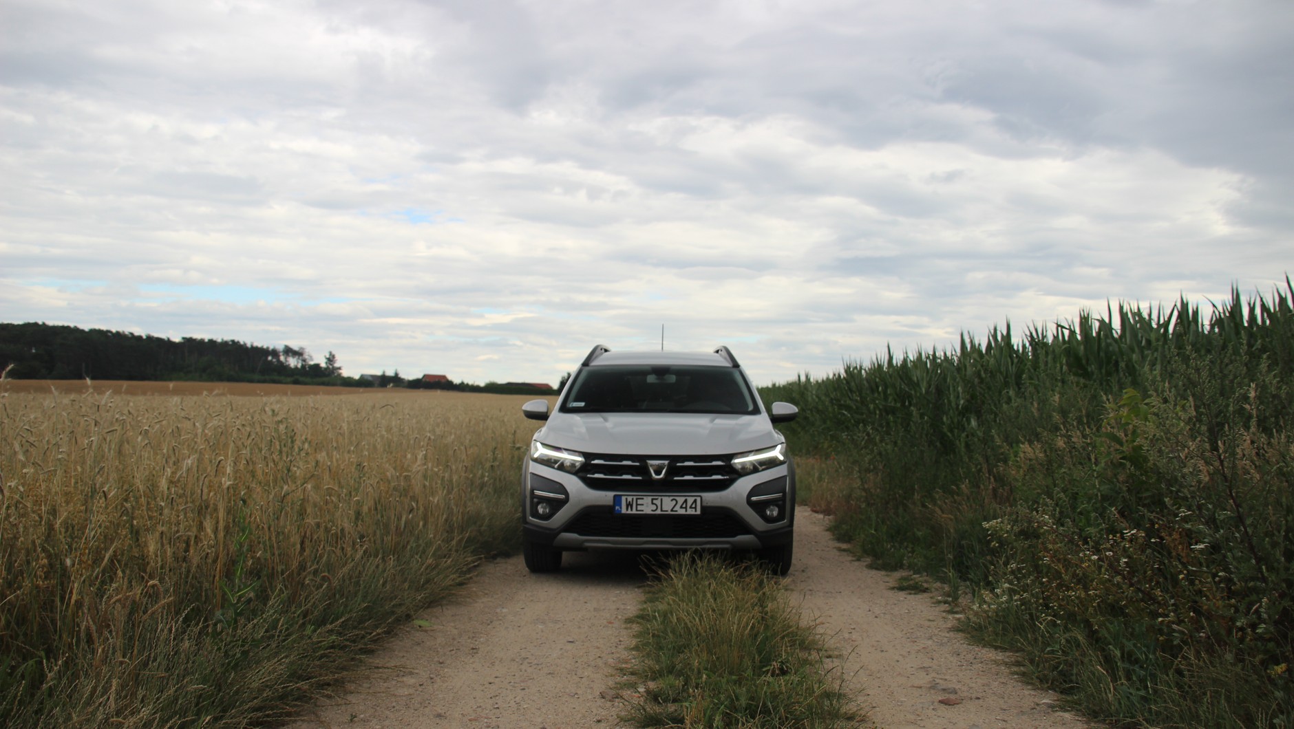Dacia wśród pól? Takich miejsc przy drodze krajowej jest pełno