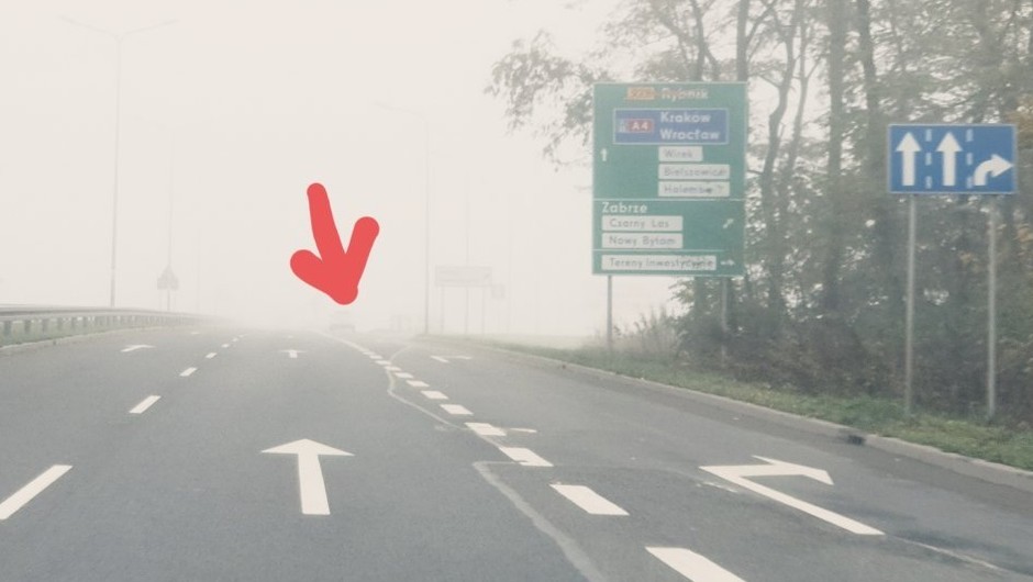 Światła dzienne we mgle
