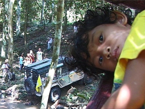 Rainforest Challenge
