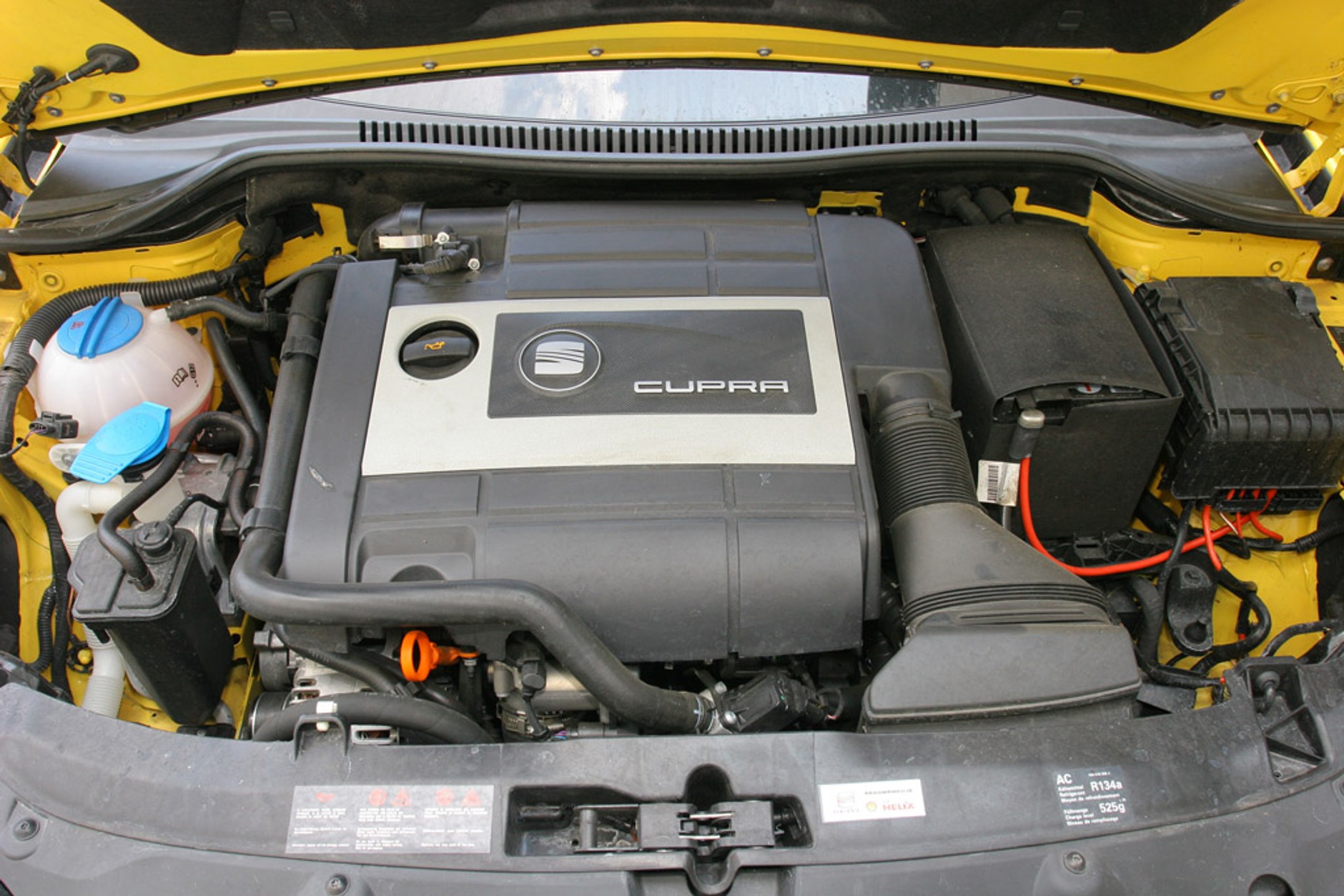 Honda Civic Type-R kontra Seat Leon Cupra, Renault Megane RS: porównanie sportowych kompaktów