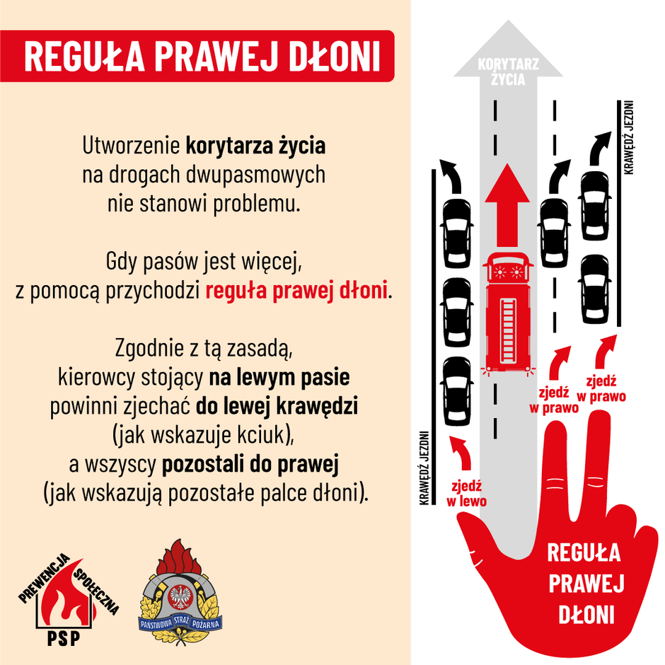 Na czym polega reguła prawej dłoni?