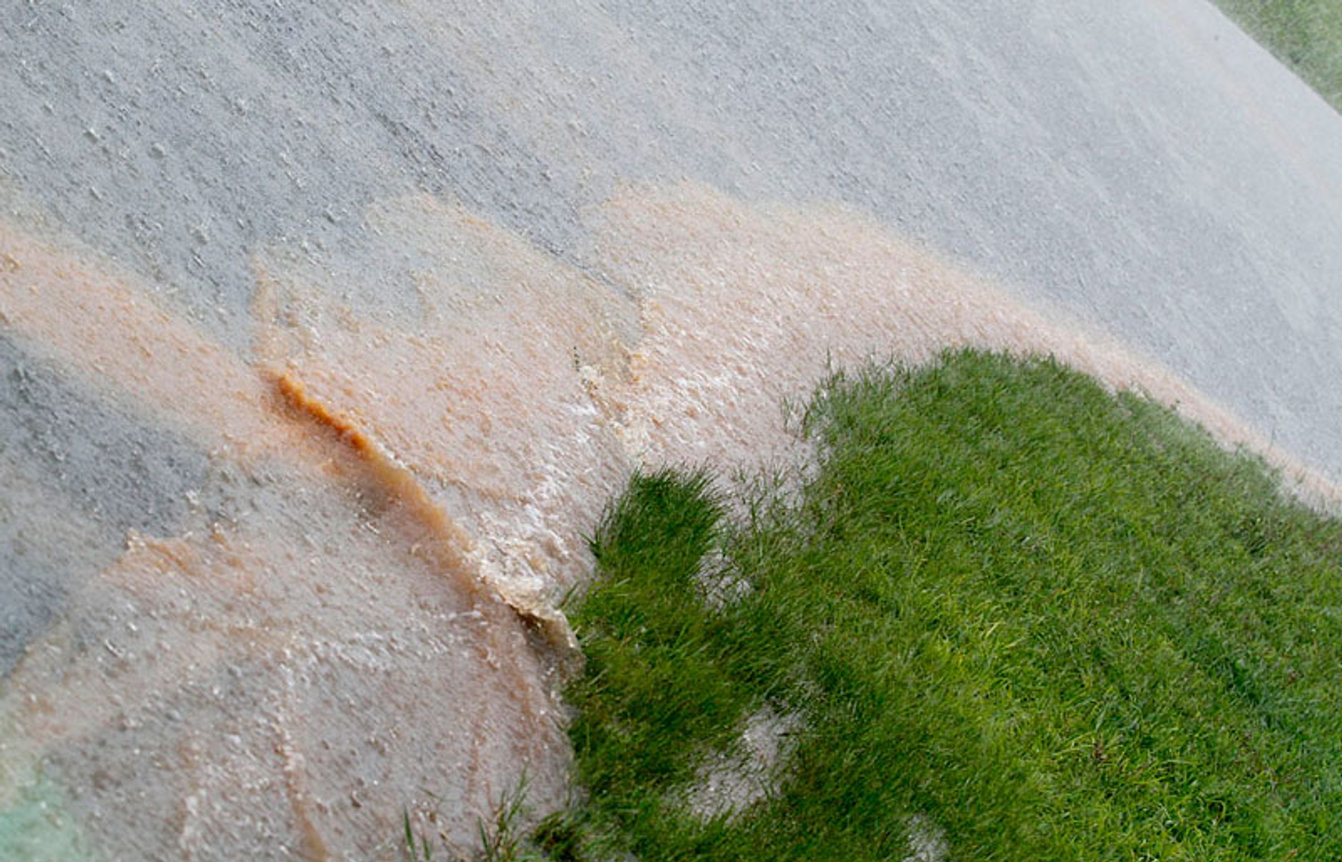 Grand Prix Brazylii 2009: Jenson Button mistrzem świata - fotogaleria Jiří Křenek